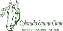 cec logo, no background, large