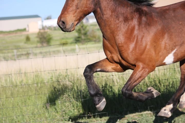 indi klotz gallup near